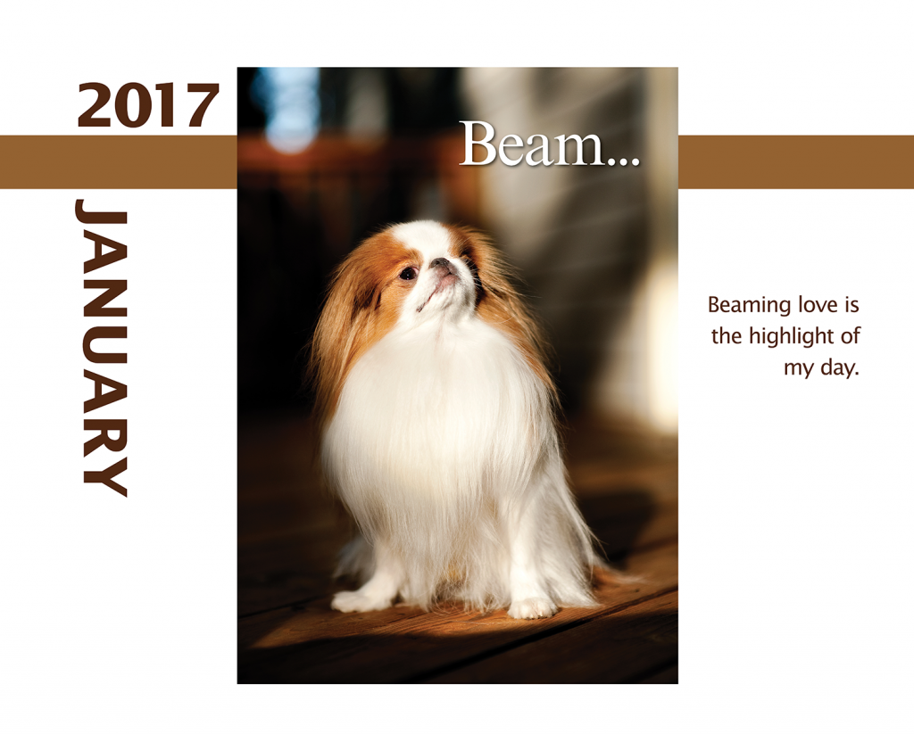 2017-Calendar-January